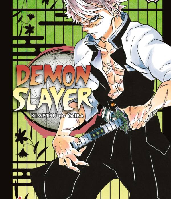 DEMON SLAYER 17