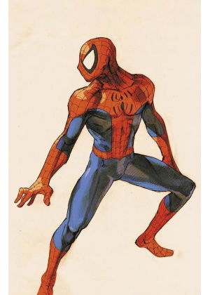 AMAZING SPIDERMAN 3/876 VS CAPCOM