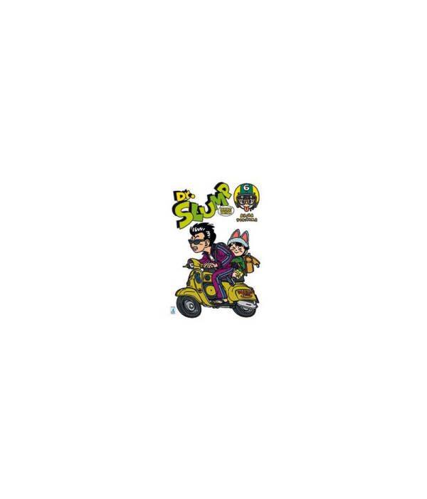 DR. SLUMP PERFECT EDITION 6 (DI 15)