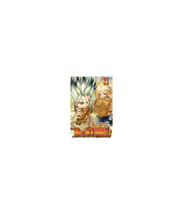 DR.STONE 11