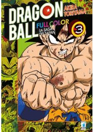 DRAGON BALL FULL COLOR 15