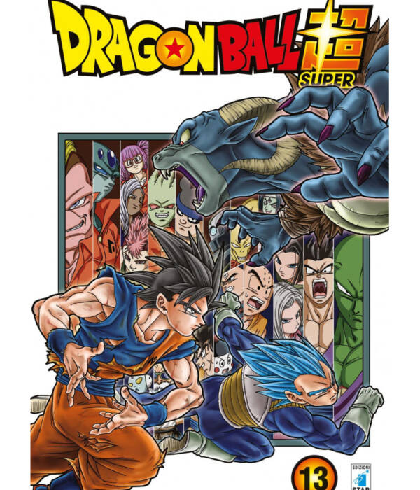 DRAGON BALL SUPER 13