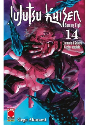 JUJUTSU KAISEN SORCERY FIGHT 14