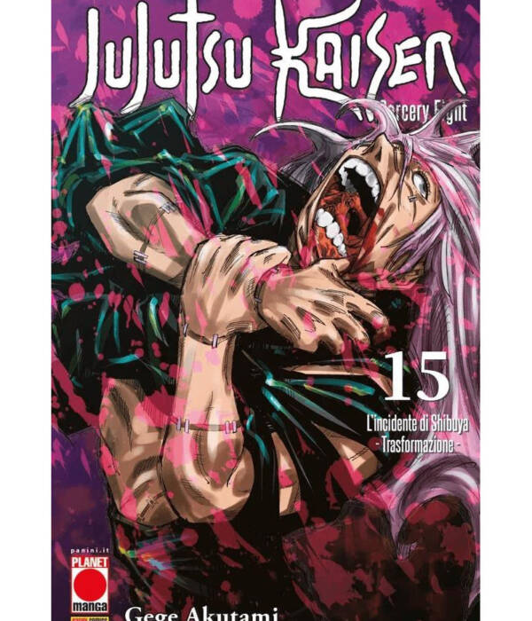 JUJUTSU KAISEN SORCERY FIGHT 15