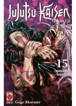 JUJUTSU KAISEN SORCERY FIGHT 15 RIS