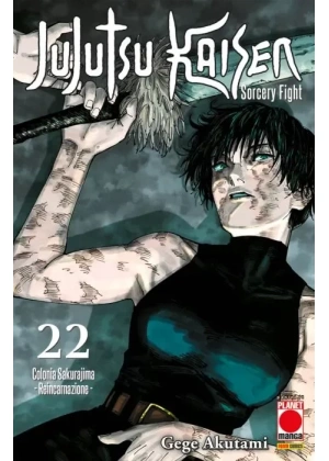 JUJUTSU KAISEN SORCERY FIGHT 22