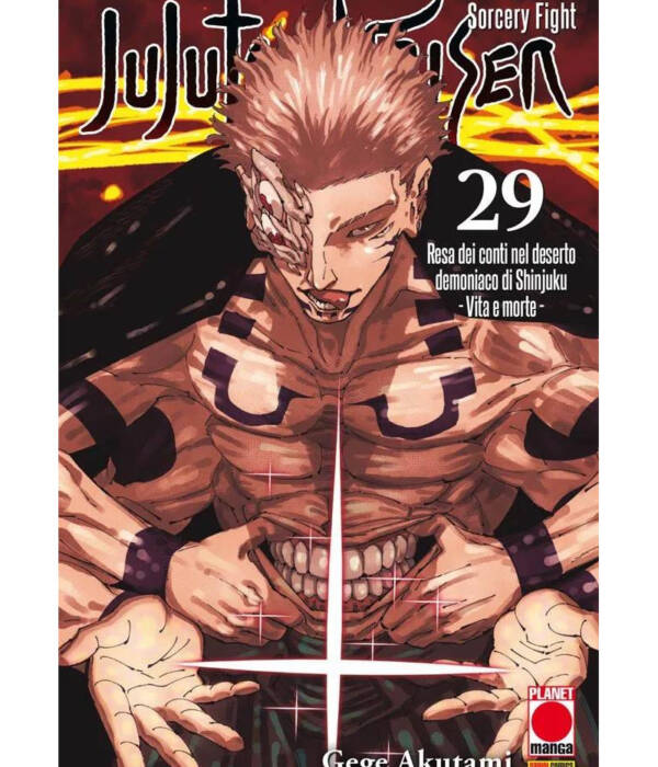 JUJUTSU KAISEN SORCERY FIGHT 29