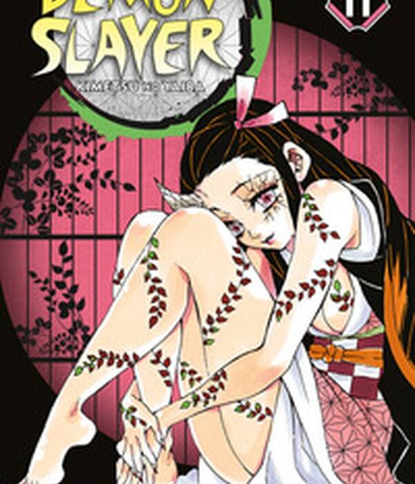 DEMON SLAYER 11