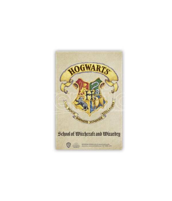 Harry Potter - Magnet - Deco - Hogwarts*