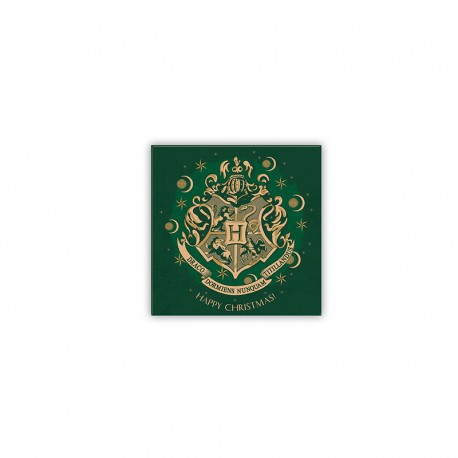 Harry Potter - Magnet 8x8cm - X-MAS - Hogwarts Green x6*