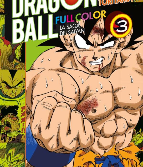 DRAGON BALL FULL COLOR 15-3 ARANCIONE