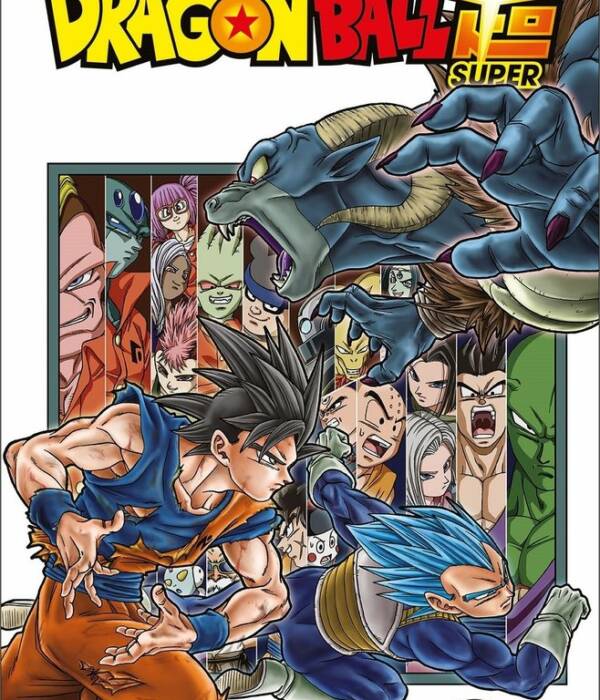DRAGON BALL SUPER 13