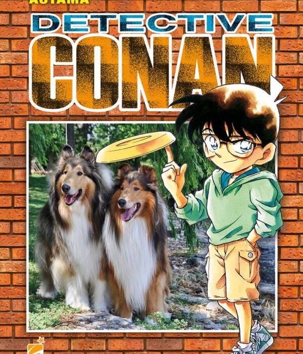 DETECTIVE CONAN NEW EDITION 29