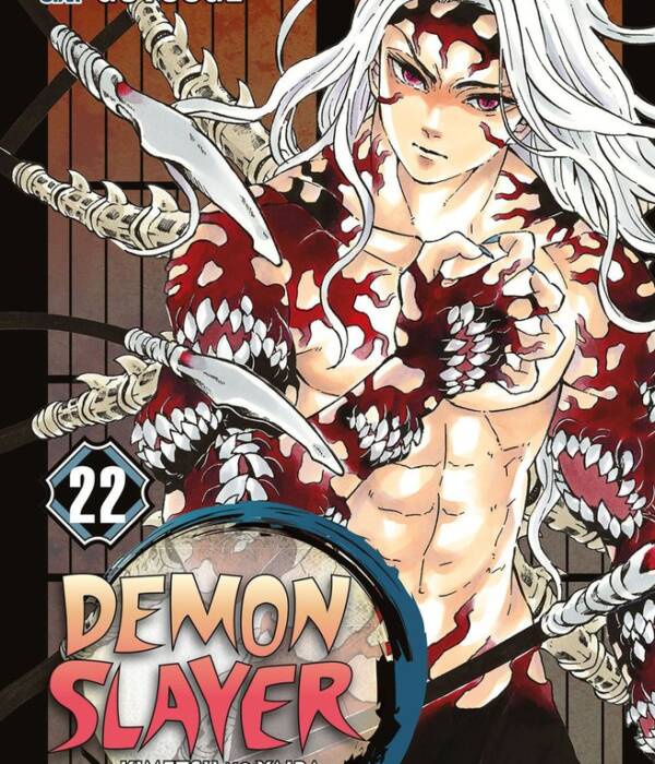 DEMON SLAYER 22