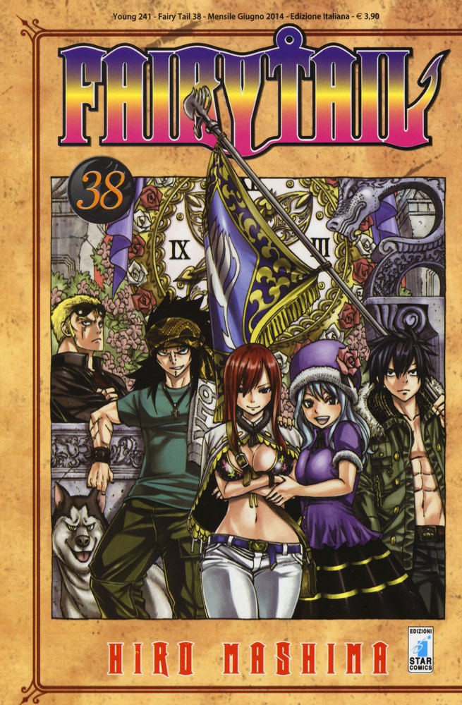 FAIRY TAIL 38 - YOUNG 241