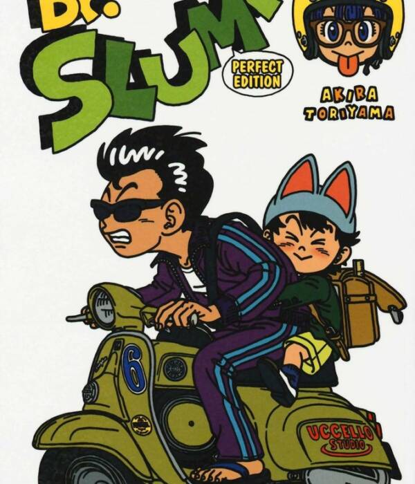 DR. SLUMP PERFECT EDITION 6 (DI 15)