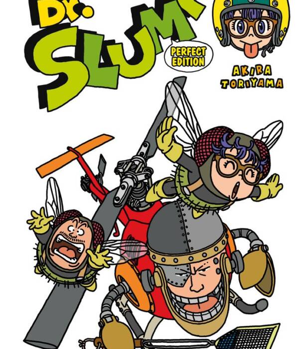 DR. SLUMP PERFECT EDITION 13(DI 15)