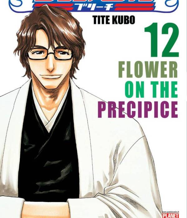 BLEACH 12