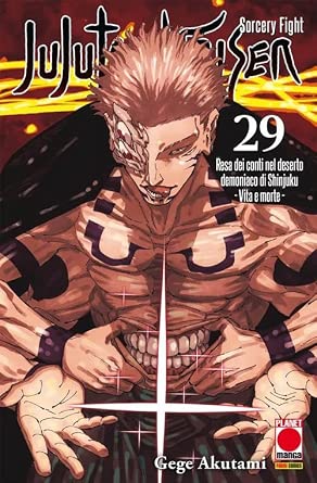 JUJUTSU KAISEN SORCERY FIGHT 29